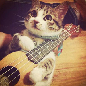 91女友口爆吞精合集
